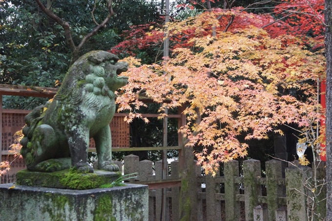 京都御苑　紅葉　No18