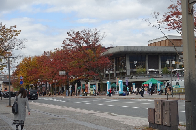 京都市電　岡崎公園紅葉　No2