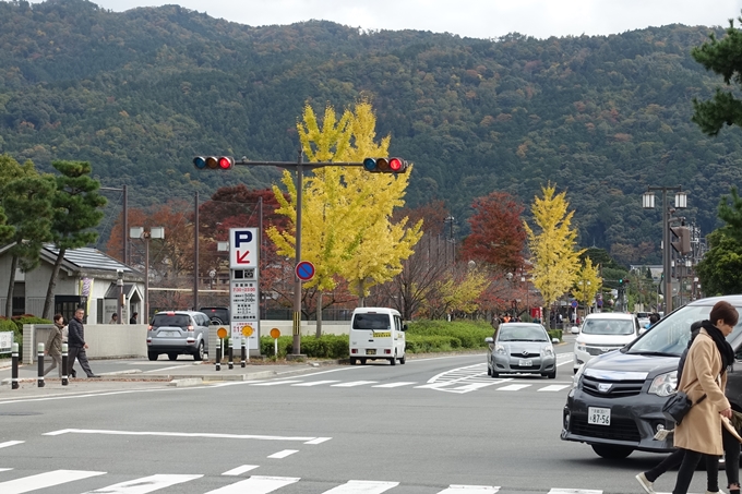 京都市電　岡崎公園紅葉　No3