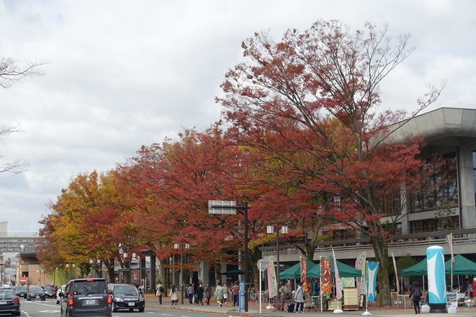 京都市電　岡崎公園紅葉　No7