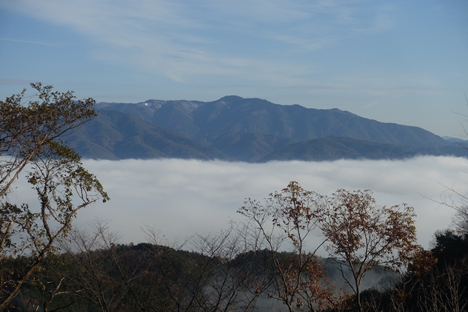 亀岡市　雲海　No11