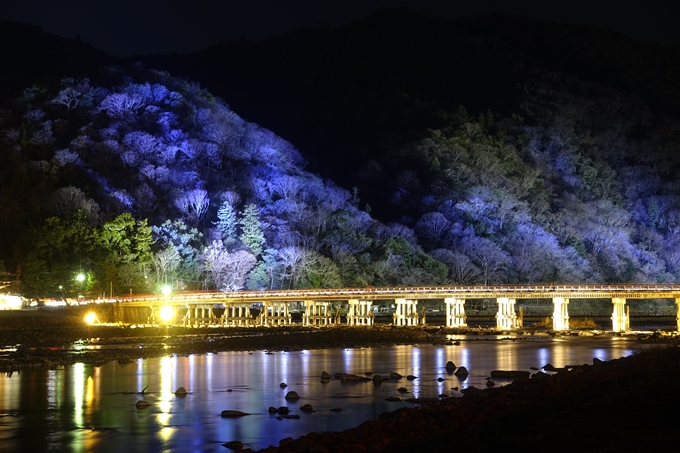 京都 嵐山 花灯路 17 渡月橋 中之島地区 ガイドブックに載らない京都