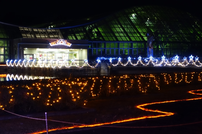 京都府立植物園_イルミネーション　No13