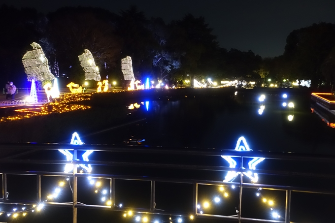 京都府立植物園_イルミネーション　No16