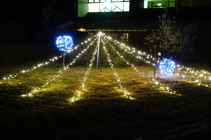 京都府立植物園_イルミネーション　No52