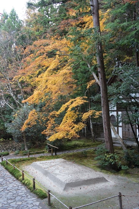 法然院　紅葉　No6