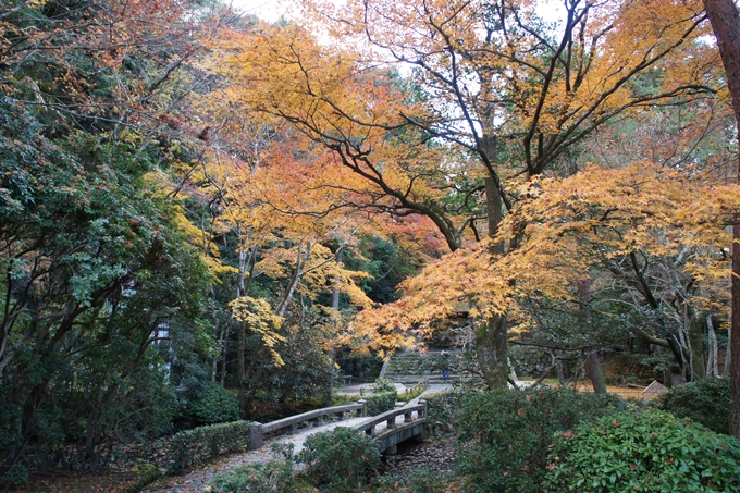 法然院　紅葉　No14