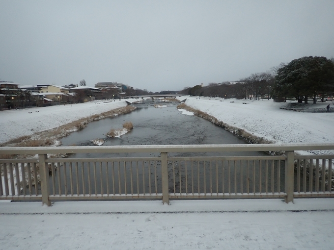 京都市内積雪　No6