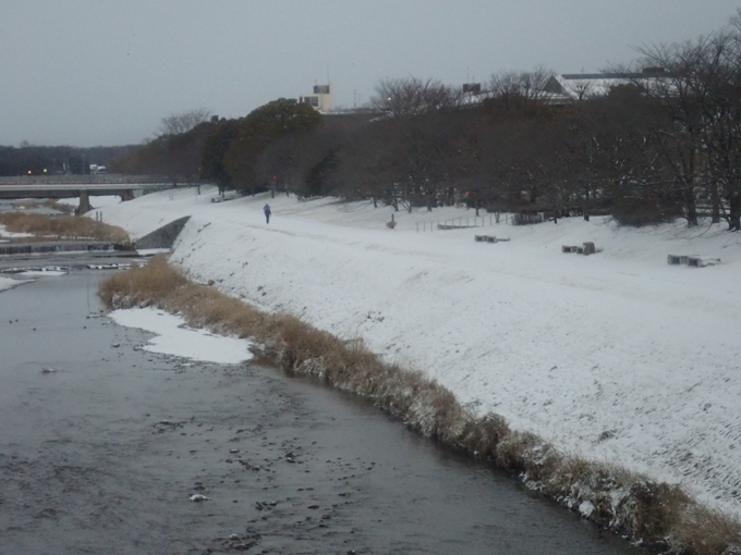 京都市内積雪　No7