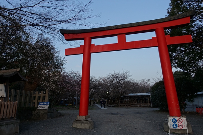 京都桜速報2018_01　No2