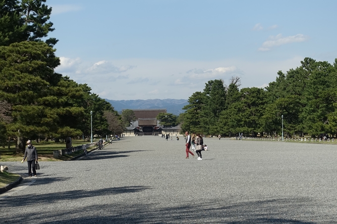 京都桜速報2018_04　No3