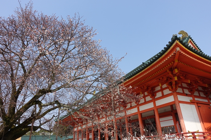 京都桜速報2018_05　No4