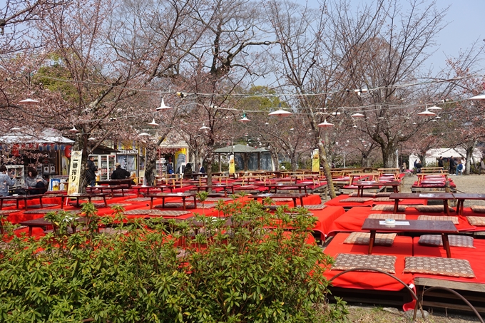 京都桜速報2018_05　No21