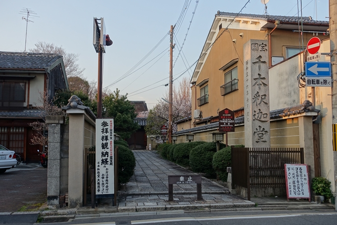 京都桜速報2018_07　No2