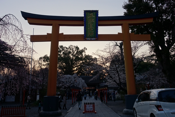 京都桜速報2018_07　No6