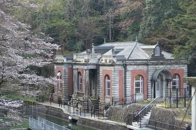 京都桜速報2018_08　No7