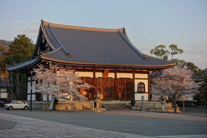 京都桜速報2018_09　No23