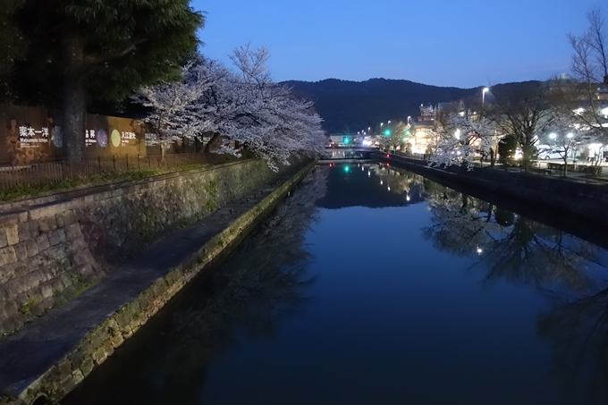 京都桜速報2018_09　No55