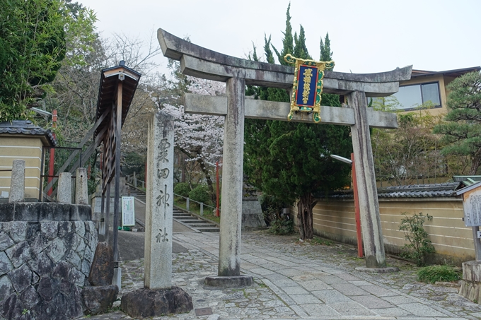 京都桜速報2018_10　No4