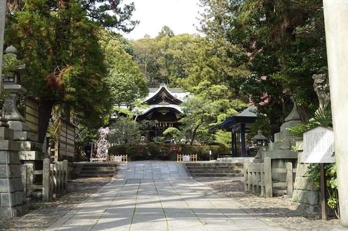 京都桜速報2018_12　No3