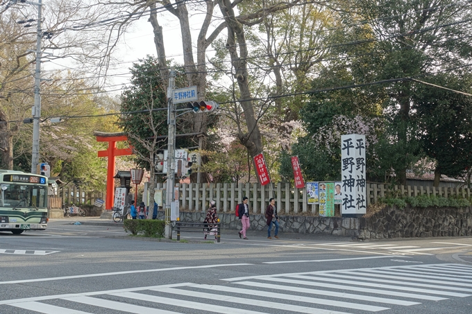 京都桜速報2018_14　No2