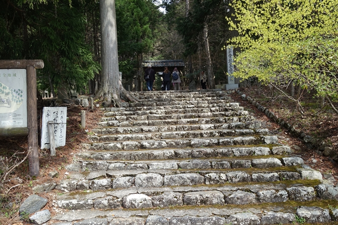 京都桜速報2018_23　No4