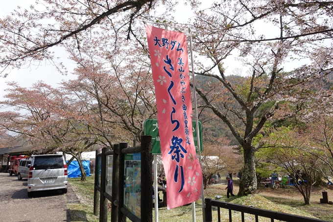 京都桜速報2018_23　No23