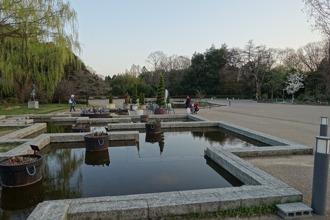 京都桜速報2018_21　No14