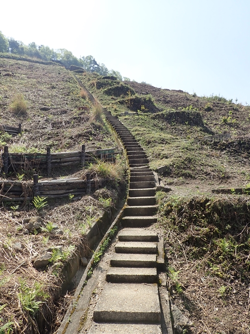 右大文字登山　No42