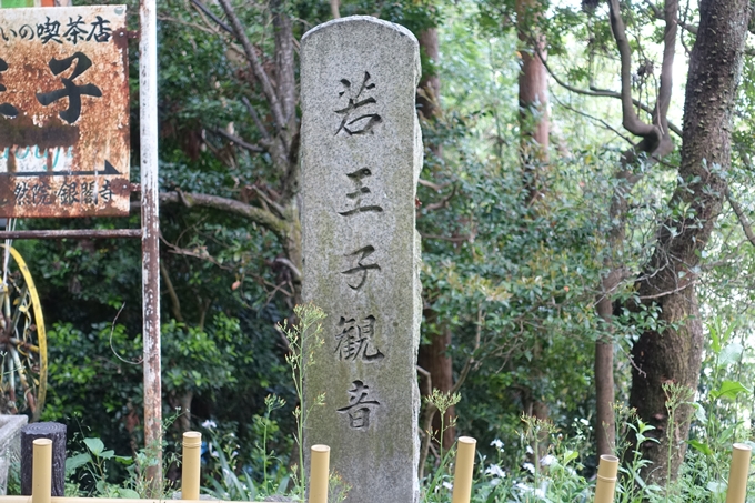 たからくじ君跡地　No20