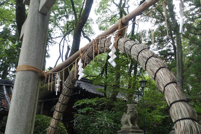 夏越しの大祓　岡崎神社　No8