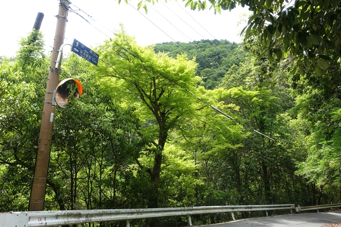 JR嵯峨野線_保津峡駅　No19