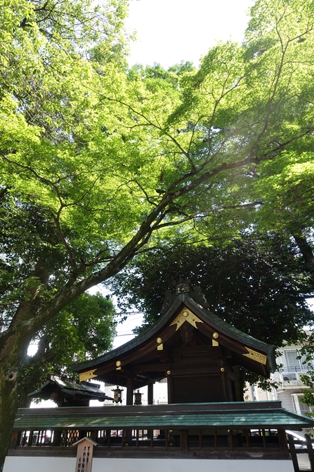 上桂御霊神社　No17