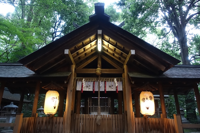 木嶋神社_御手洗祭2018　No16