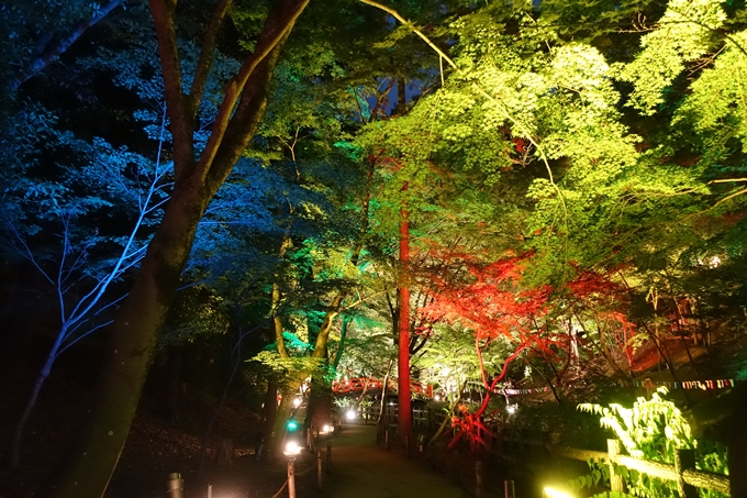 京の七夕2018_北野紙屋川エリア　No23