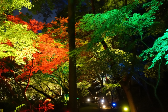 京の七夕2018_北野紙屋川エリア　No24