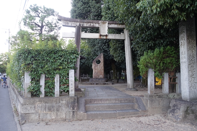 大酒神社　No9