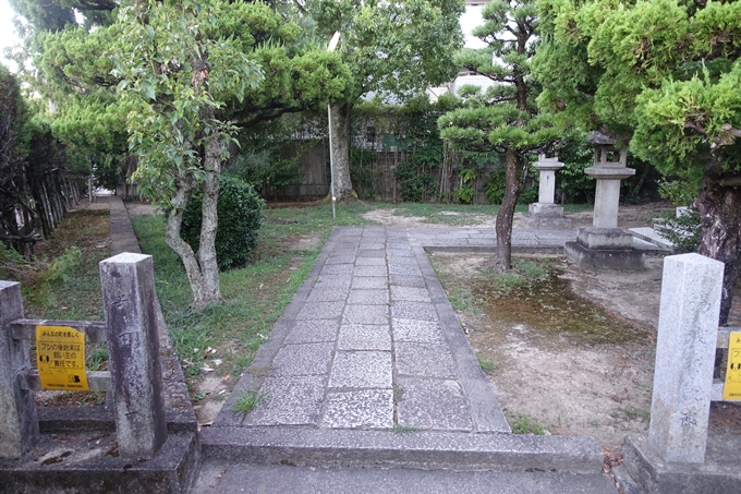 大酒神社　No17