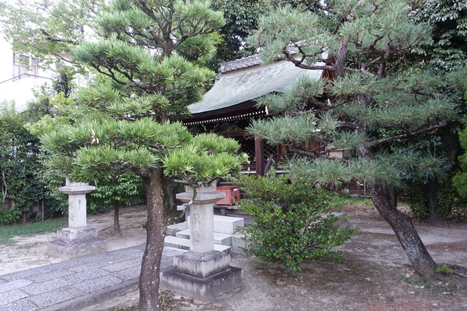 大酒神社　No18