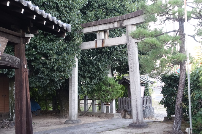 大酒神社　No22