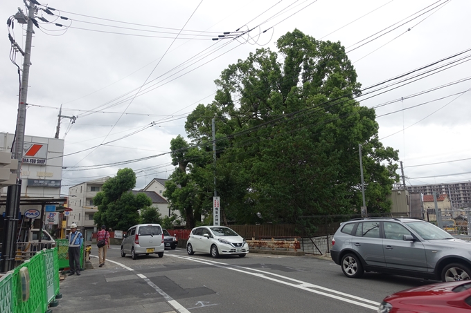 猿田彦神社　No2