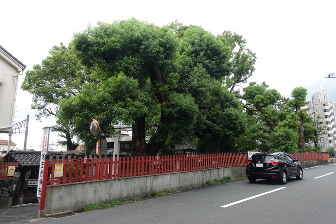 猿田彦神社　No3