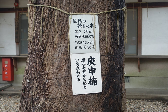 猿田彦神社　No22