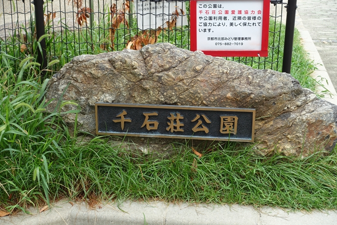千石荘公園　No2