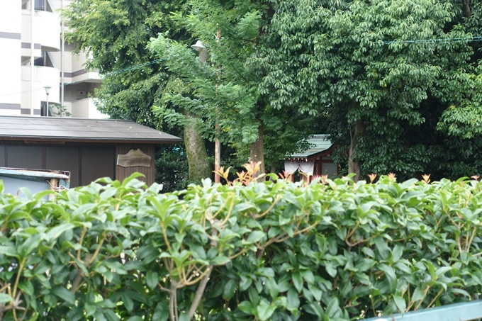 市川神社　No4