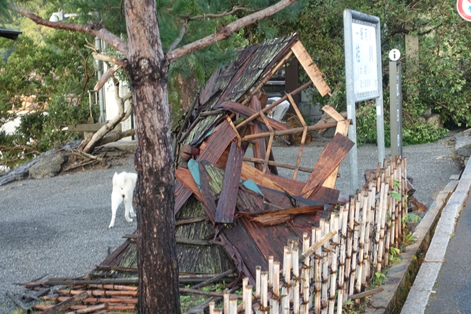 渡月橋_台風2018　No6