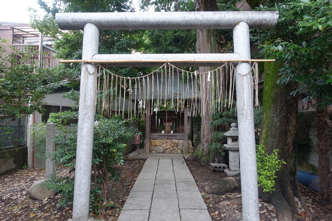 阿刀神社　No8