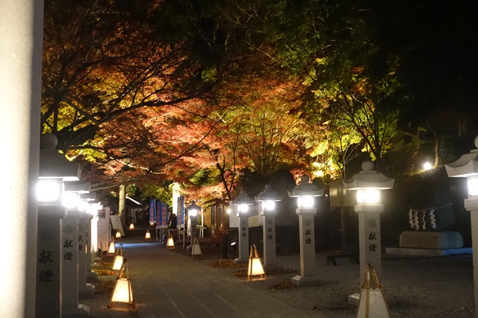 京都紅葉速報2018　その6　出雲神社_ライトアップ　No5