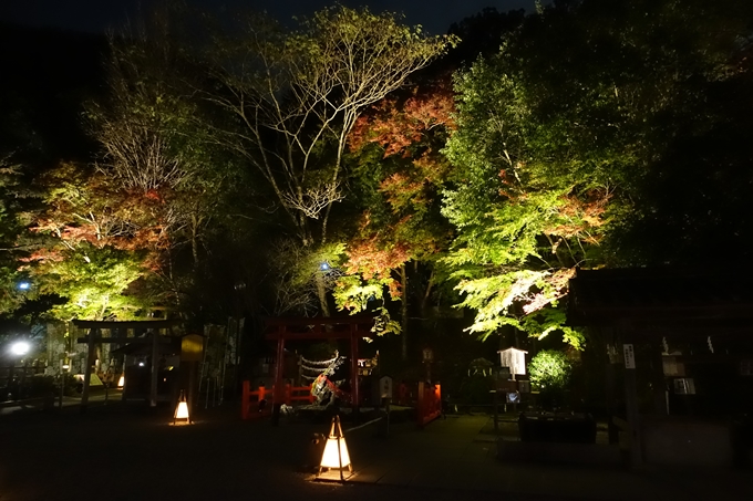 京都紅葉速報2018　その6　出雲神社_ライトアップ　No9