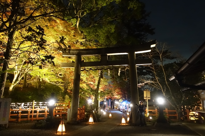 京都紅葉速報2018　その6　出雲神社_ライトアップ　No10